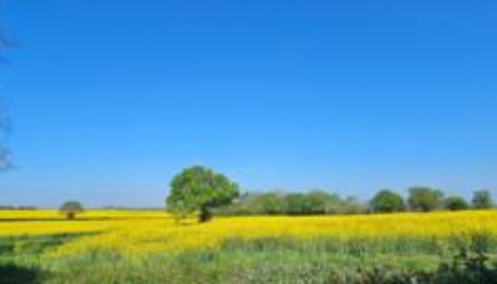 Will UK break heat records for start of May and will it last?