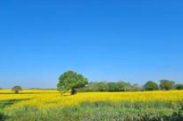 Will UK break heat records for start of May and will it last?